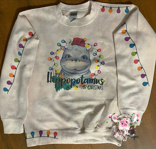 I Want A Hippo For Christmas Youth Sweatshirt